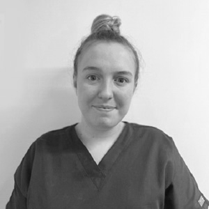 Meet the Team taylor